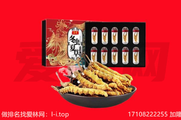 绥棱县回收虫草.jpg
